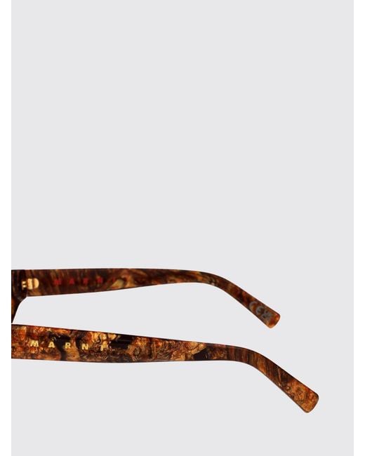 Marni Brown Mavericks Acetate Sunglasses for men