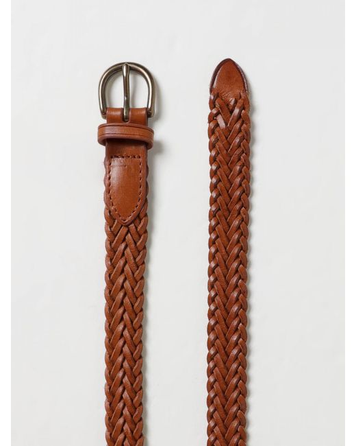 Cintura di Dragon Diffusion in Brown