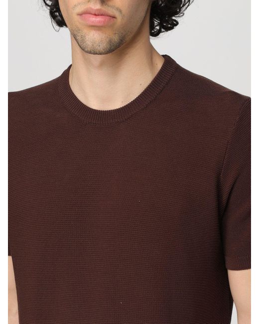 Camiseta Drumohr de hombre de color Brown