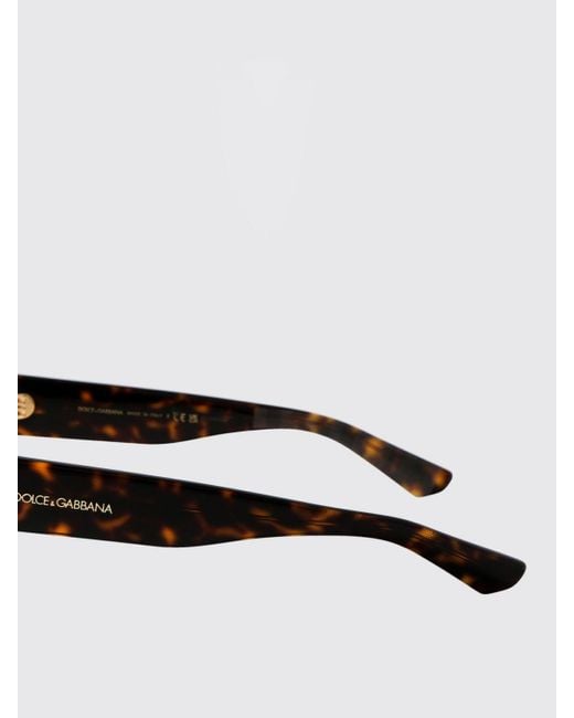 Dolce & Gabbana Brown Dolce &Amp Gabbana 0Dg3379 Acetate Eyeglasses