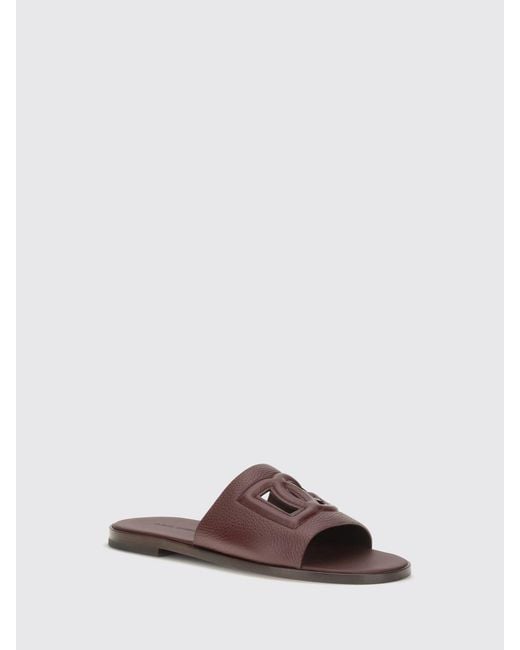 Dolce & Gabbana Brown Dolce &Amp Gabbana Sandals for men