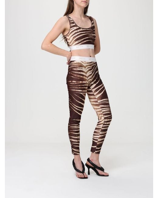 Just Cavalli Brown Zebra Print Polyester Crop Top