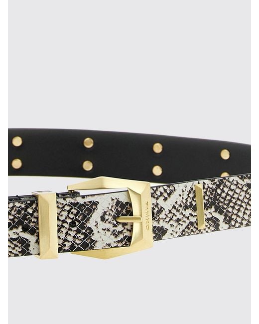 Pinko White Belt