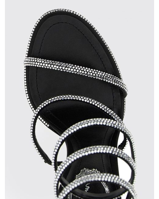 Chaussures Femme Rene Caovilla en coloris Black