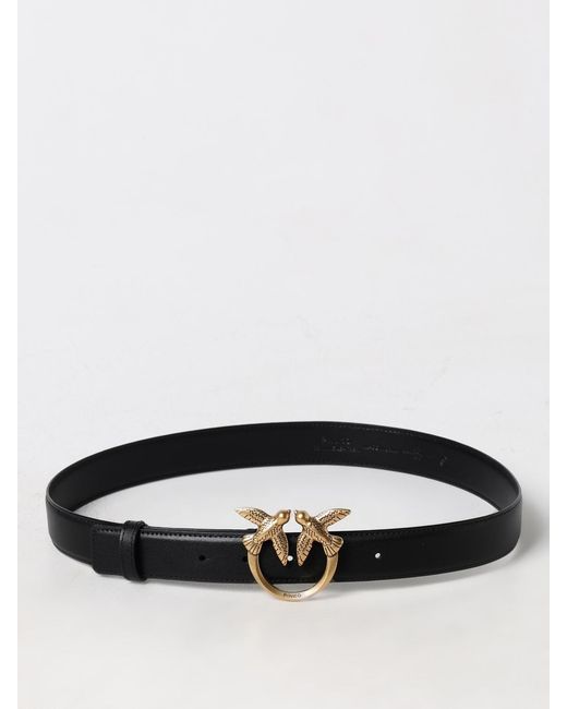 Pinko Black Belt
