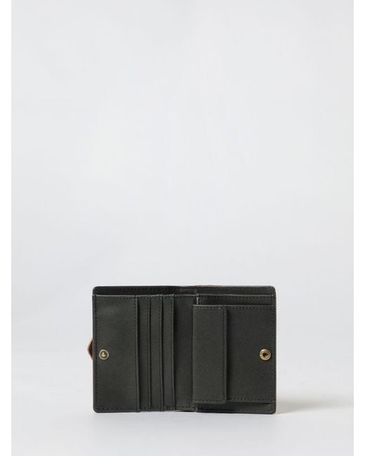 Just Cavalli Brown Wallet