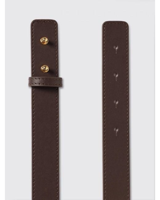 Elisabetta Franchi Brown Leather Belt