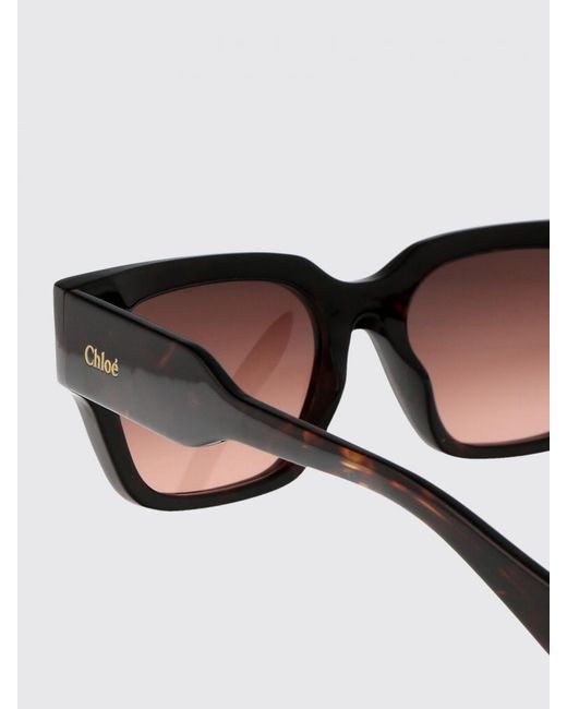 Chloé Brown Chlo&Eacute Ch0190S Acetate Sunglasses