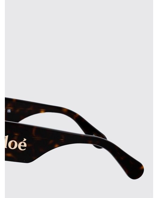 Chloé Brown Sunglasses