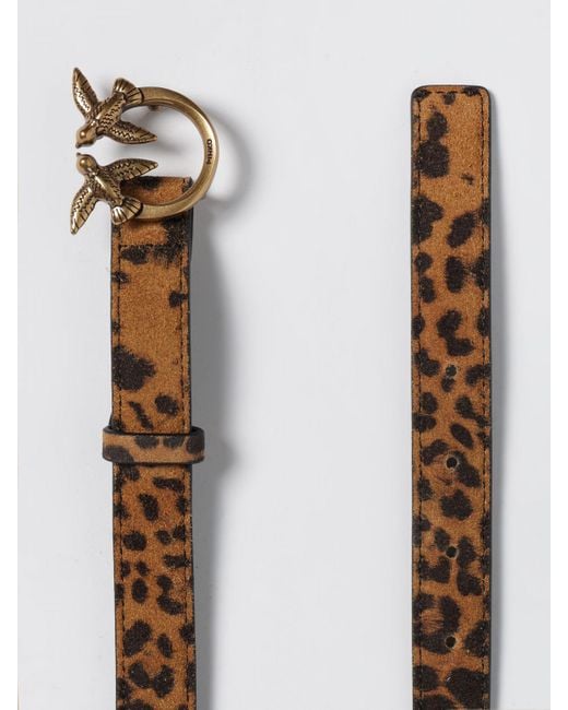 Pinko White Belt