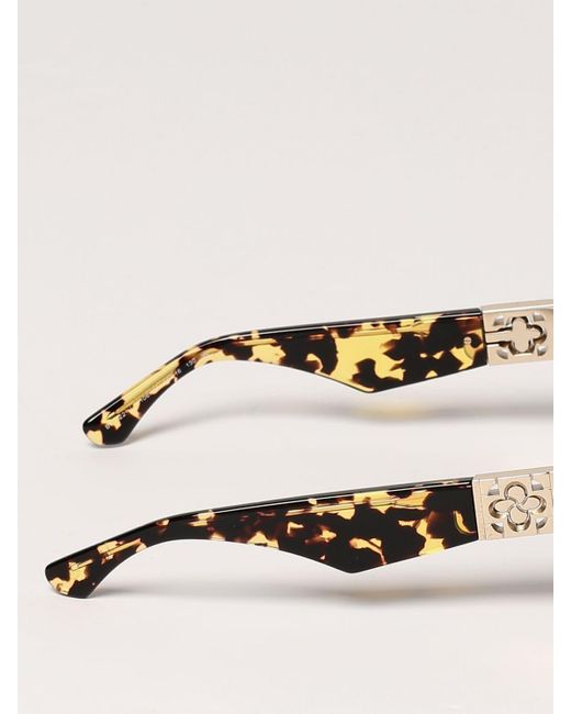 Burberry Brown Acetate Sunglasses