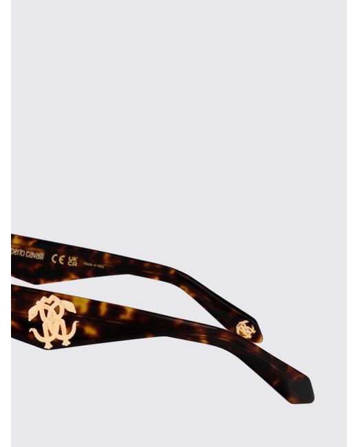 Roberto Cavalli Gray Sunglasses