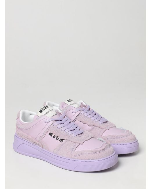 MSGM Purple Trainers for men