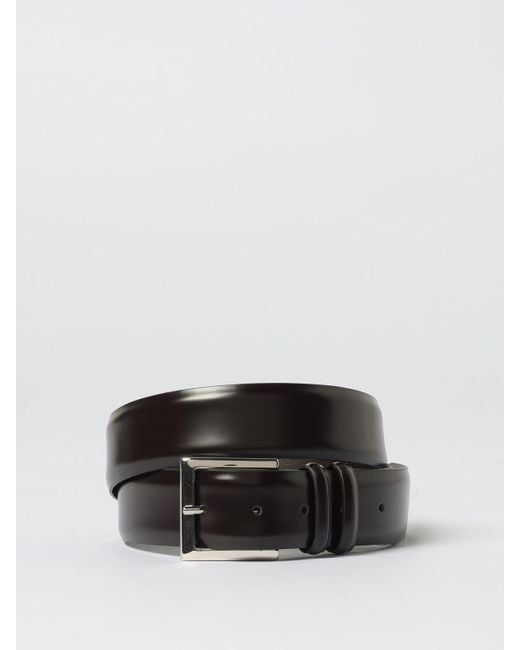 Orciani Black Belt for men
