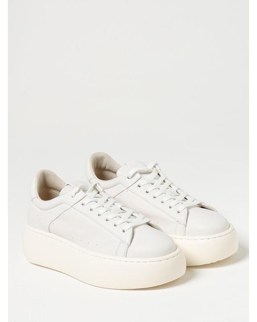 Barracuda Natural Sneakers