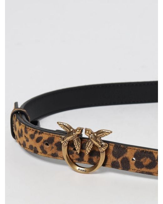 Pinko White Belt