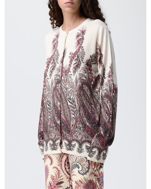 Etro Gray Jumper