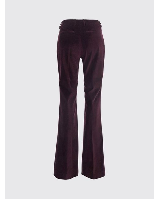 PT Torino Purple Pants