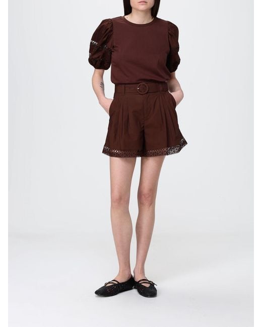 Twinset Brown Cotton Shorts With Belt