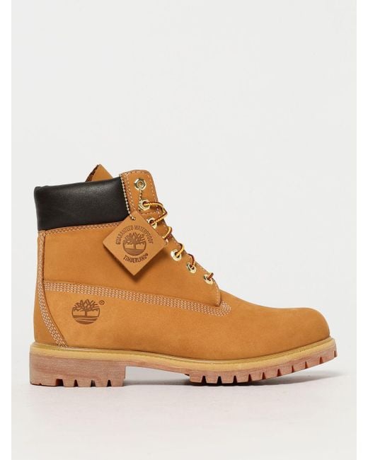Timberland Brown Shoes for men
