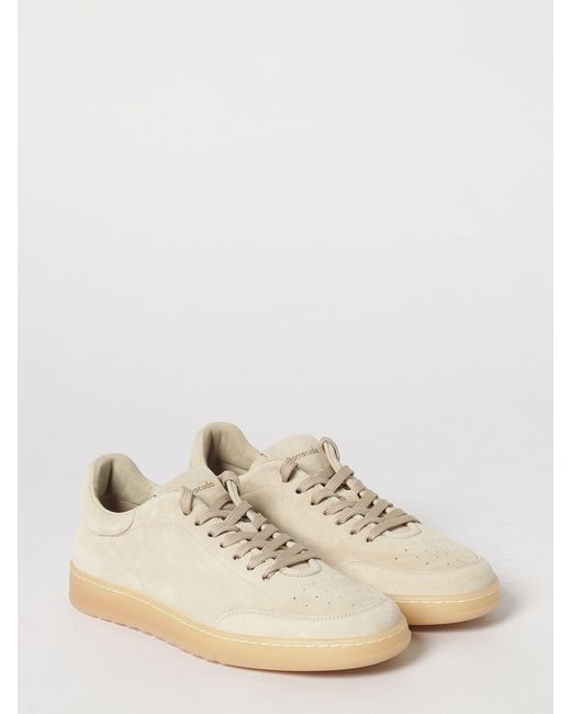 Barracuda Natural Sneakers for men