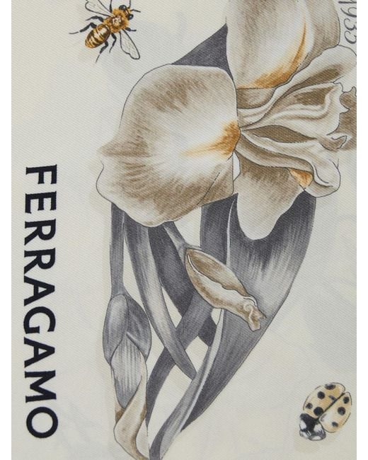 Ferragamo Gray Scarf