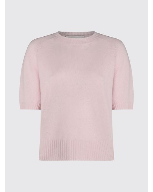 Allude Pink Sweater