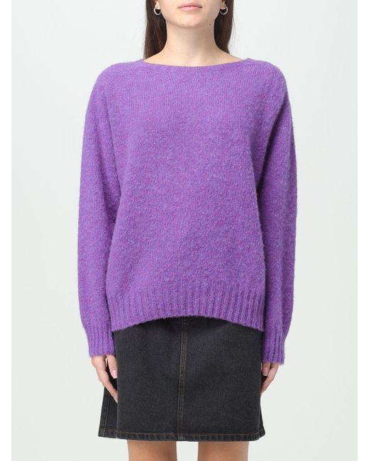 Howlin' By Morrison Purple Pullover