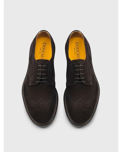 Doucal's Black Suede Derby Shoes With Brogue Detail for men
