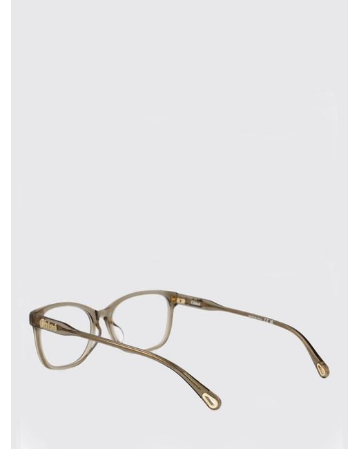 Chloé White ChloÉ Ch0161O Chloè Acetate Optical Glasses