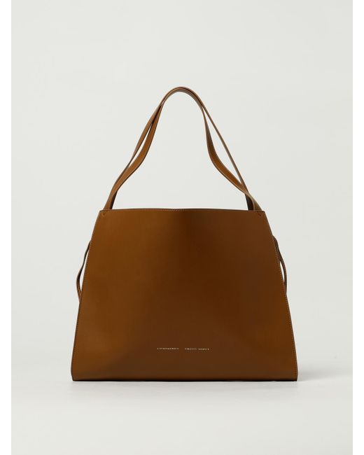 Liviana Conti Brown Handbag
