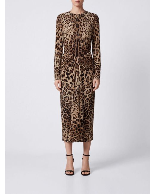 Dolce & Gabbana Brown Dolce &Amp Gabbana Animalier Print Viscose Midi Sheath Dress With Knotted Waist