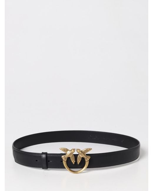 Pinko White Belt