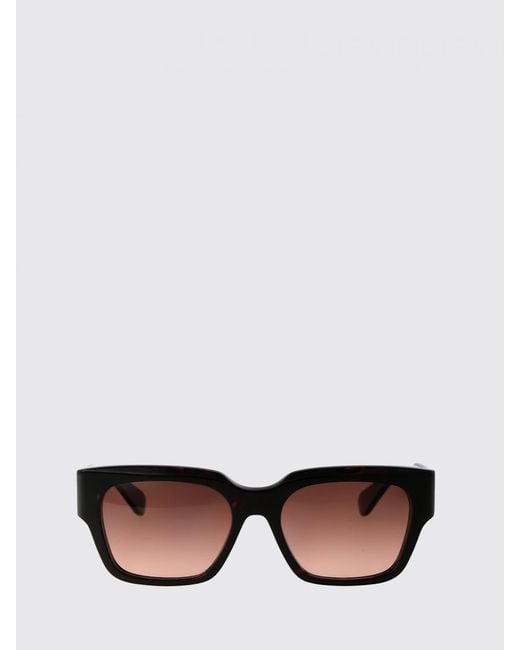 Chloé Brown Chlo&Eacute Ch0190S Acetate Sunglasses
