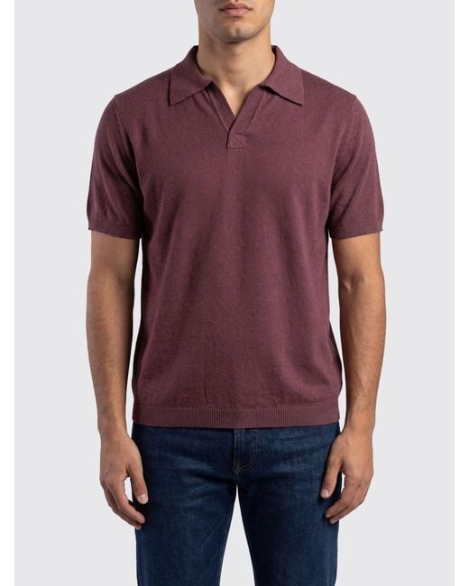 Roberto Collina Purple Cotton Knit Polo Shirt for men