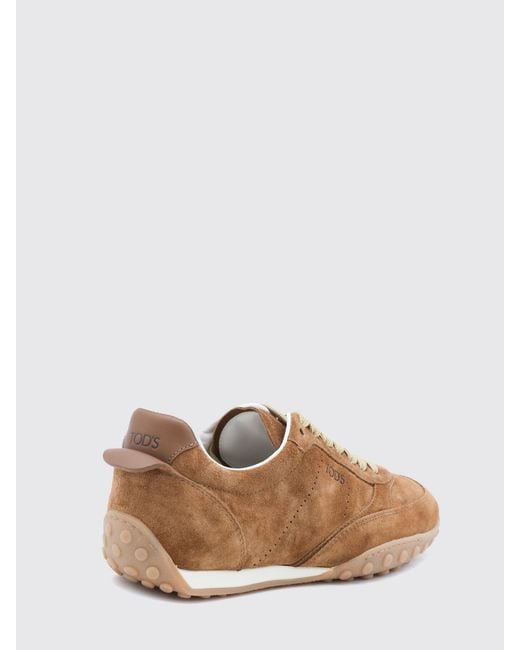 Tod's Brown Sneakers
