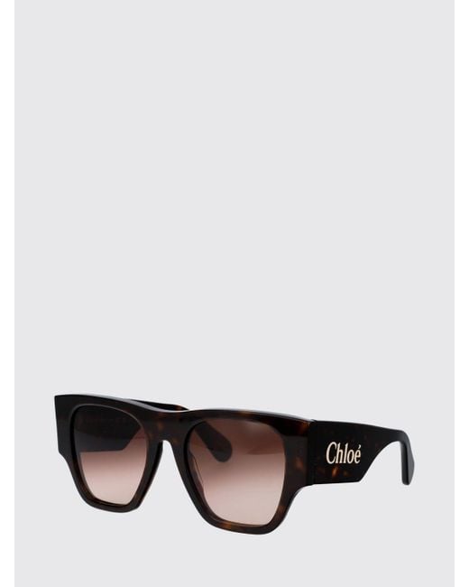 Chloé Brown Sunglasses
