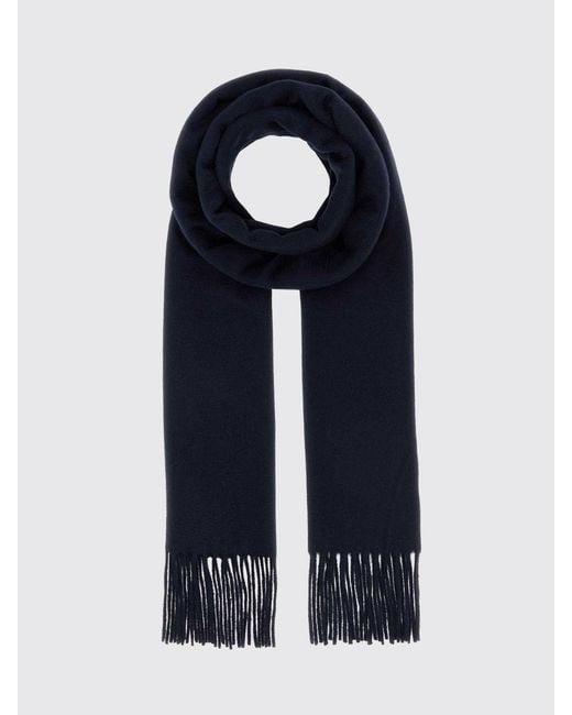 Max Mara Blue Scarf
