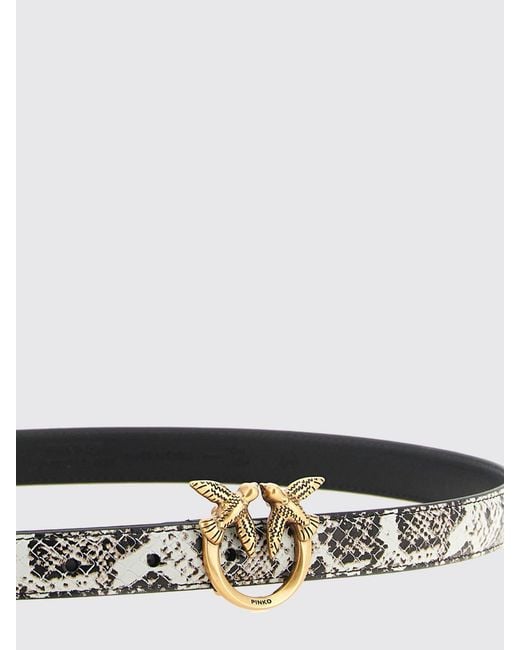 Pinko White Belt