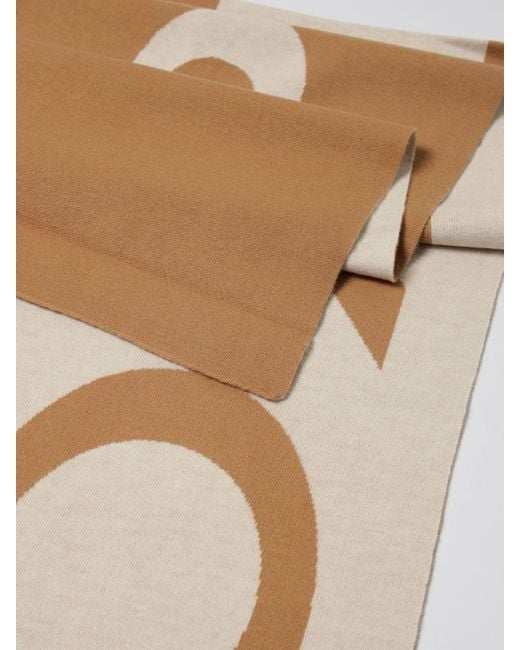 Pinko Brown Scarf