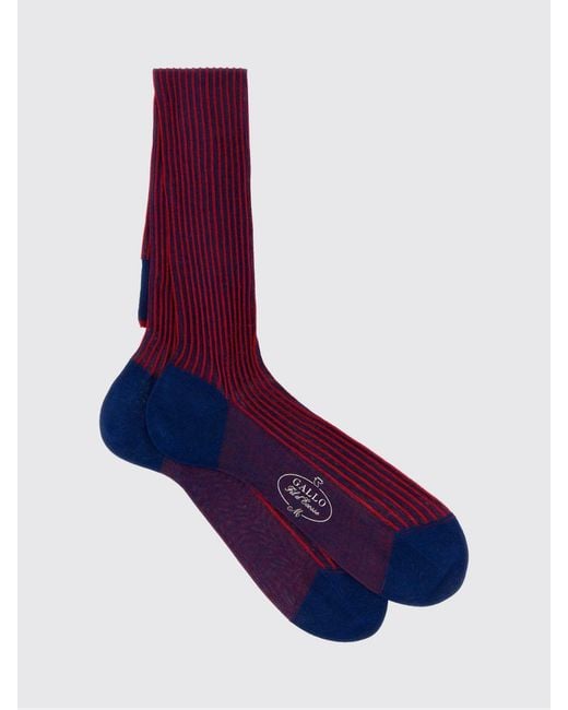 Gallo Purple Ribbed Lisle Cotton Socks for men