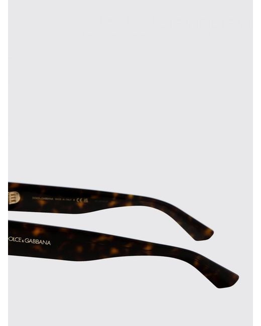Dolce & Gabbana Brown Dolce &Amp Gabbana 0Dg4451 Acetate Sunglasses for men