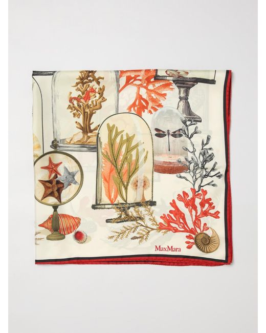 Foulard di Max Mara in Natural