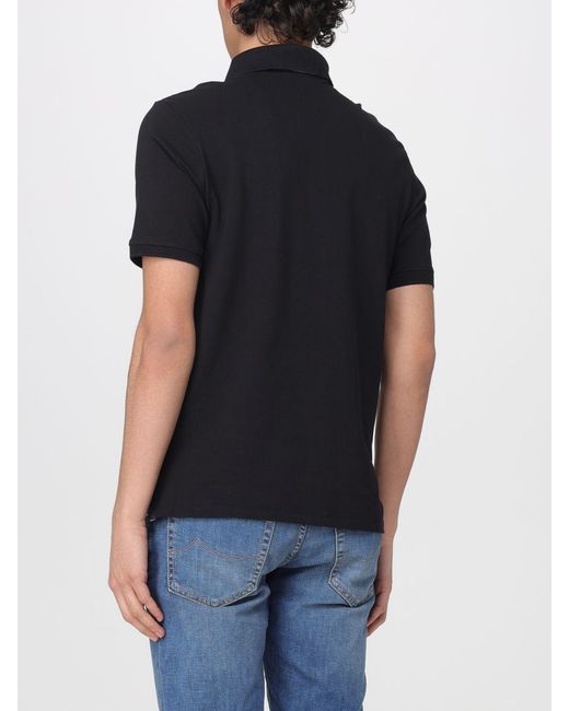 Blauer Black Cotton Polo Shirt for men
