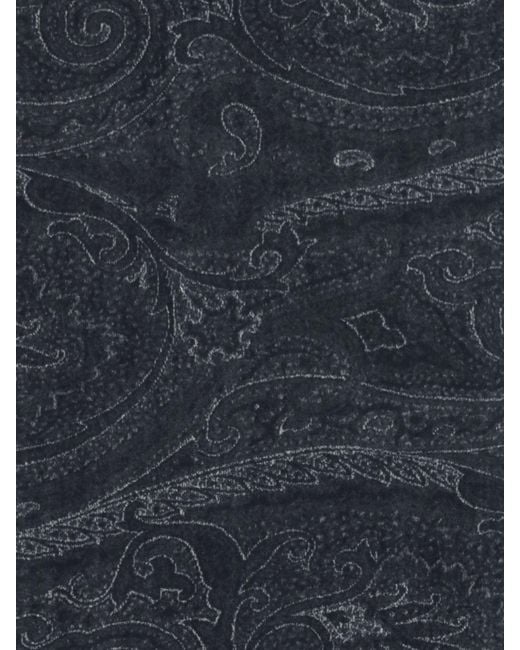 Etro Blue Scarf for men