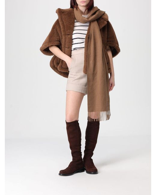 Sciarpa Dalia di Max Mara in Brown