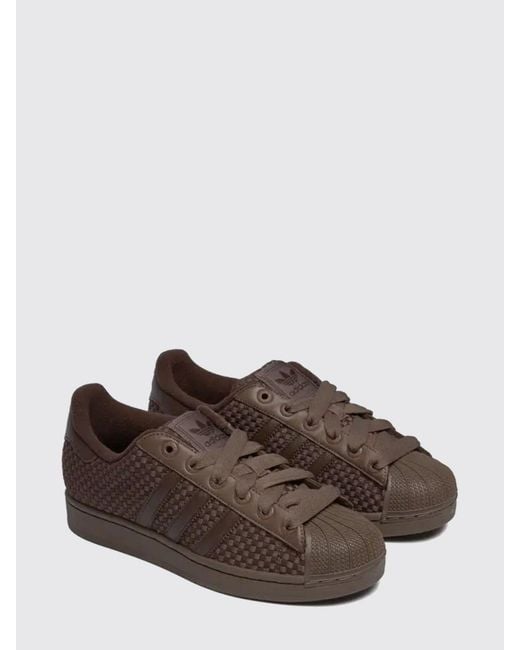 Adidas Originals Brown Sneakers for men
