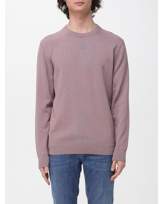HUGO Purple Cotton Knit for men