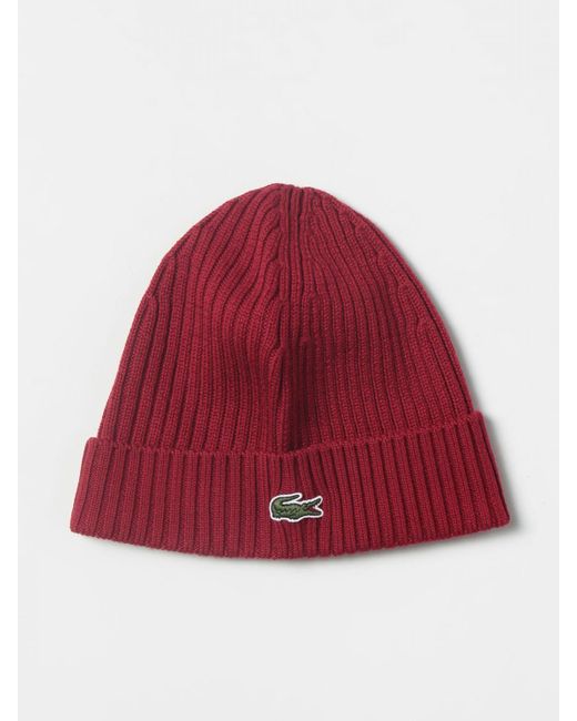 Burgundy deals lacoste hat