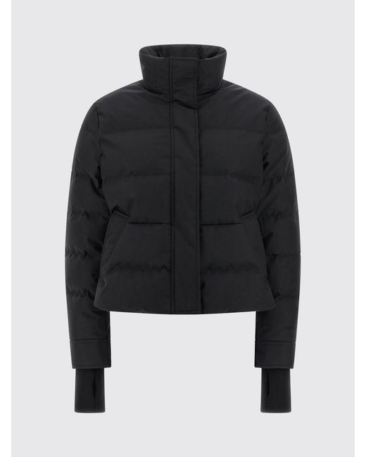 McQueen Blue Jacket